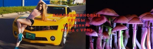 спиды Алзамай