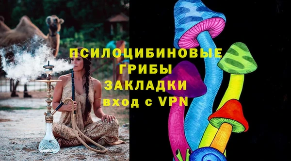 ГАЛЛЮЦИНОГЕННЫЕ ГРИБЫ Абаза