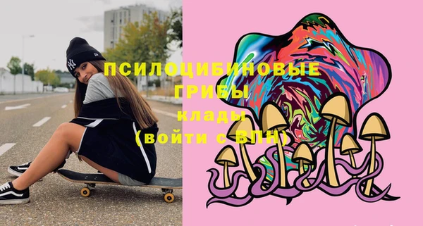 ГАЛЛЮЦИНОГЕННЫЕ ГРИБЫ Абаза