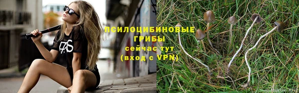 спиды Алзамай