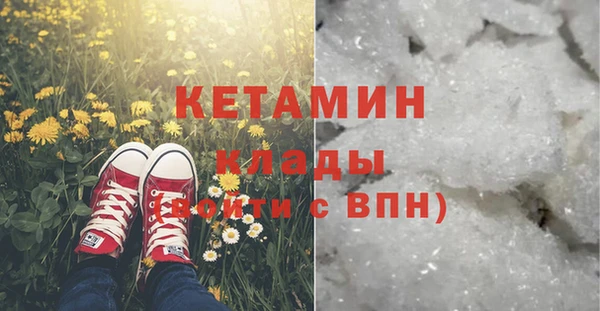 ГАЛЛЮЦИНОГЕННЫЕ ГРИБЫ Абаза